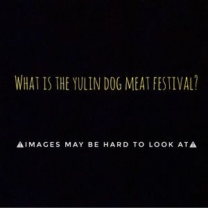 What Is The Yulin Dog Meat Festival?